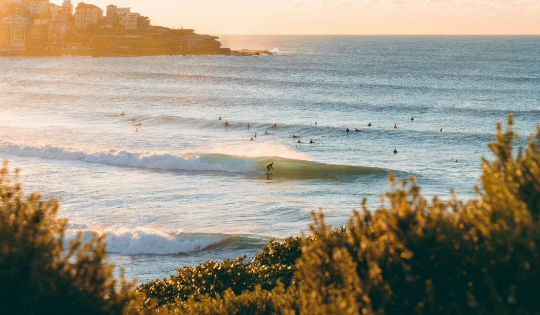 People surfing on an Australian beach